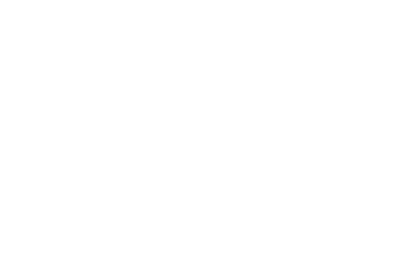BlankTransparentImg (1).gif